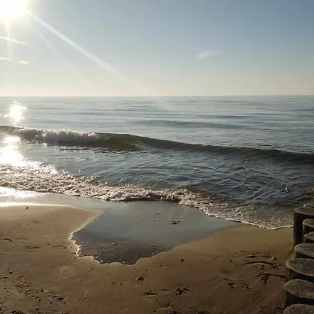 ホームステイ Tasmania シャノジェンティ