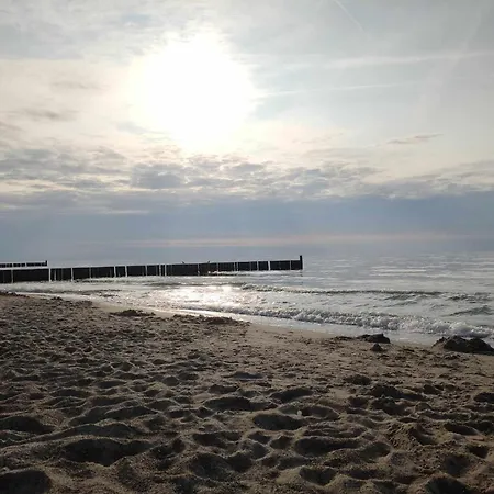 Tasmania ホームステイ シャノジェンティ