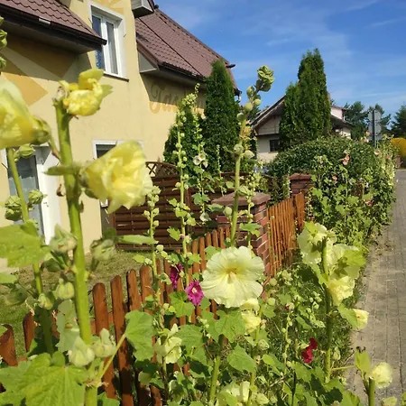 Tasmania Pansiyon Sianozety