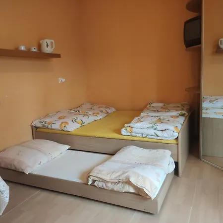 Tasmania シャノジェンティ