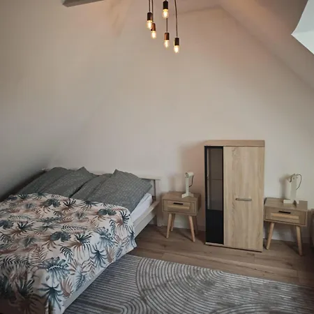 Tasmania シャノジェンティ