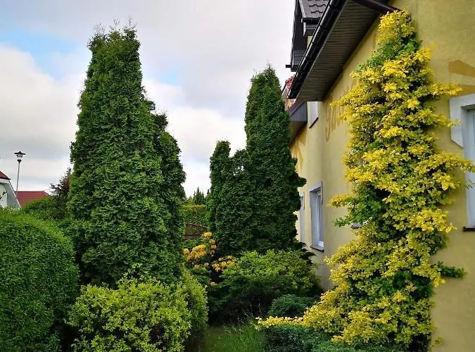 Homestay szállás Tasmania