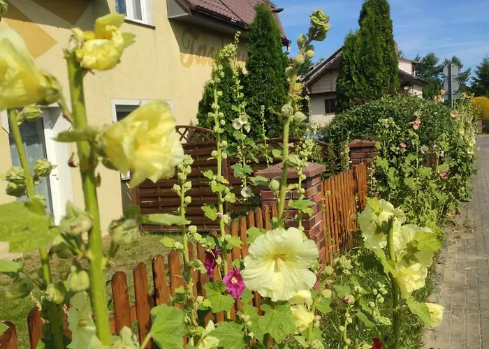 Tasmania Homestay szállás Sianozety