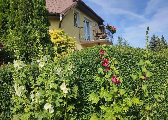 Tasmania Homestay szállás Sianozety